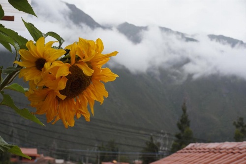 Ollantaytampu Hostel Patacalle image 5